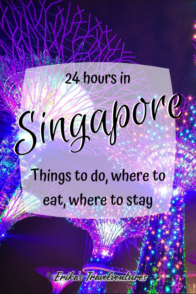 Singapore is a Southeast Asian country that many backpackers skip over because it's thought to be too expensive. During 24 hours in Singapore, it's possible to see a lot of Singapore highlights on a budget! Head to the Marina Bay Sands fountain, the Gardens by the Bay, and have some street food to see Singapore in 24 hours on a budget!