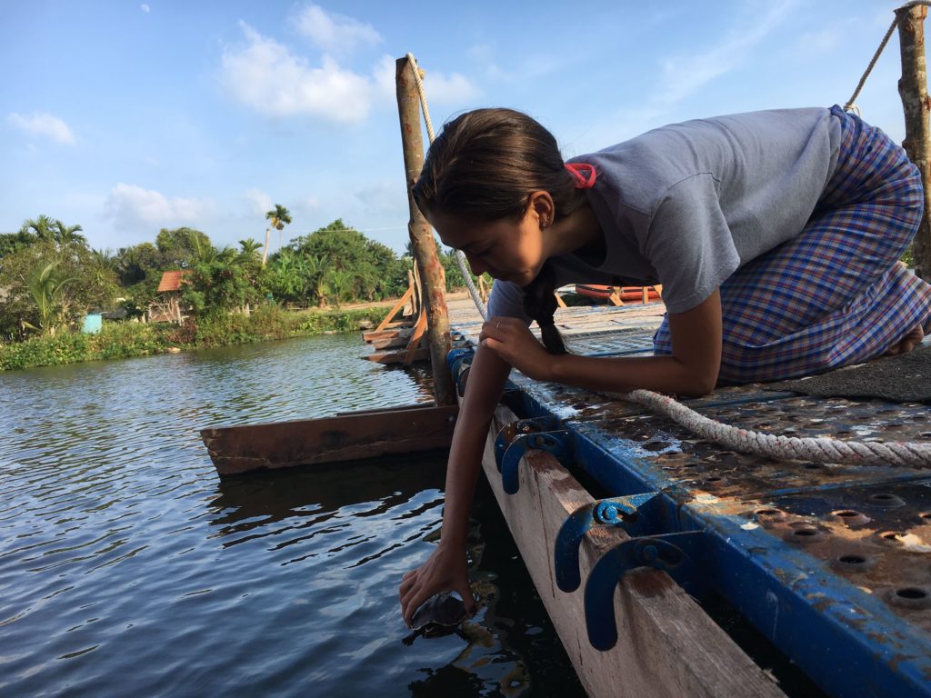 Releasing a turtle behind Wat Plai Laem, Koh Samui Thailand