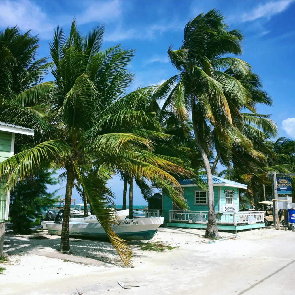 Backpacking Belize to Mexico, Caye Caulker