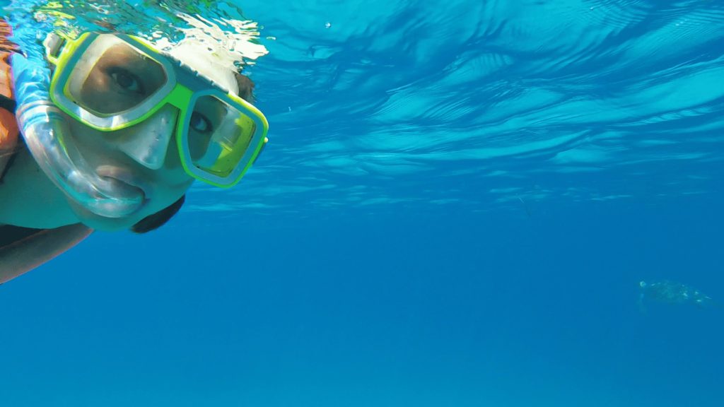 Sea turtle sighting on Snorkeling tour in Panglao, Bohol Philippines