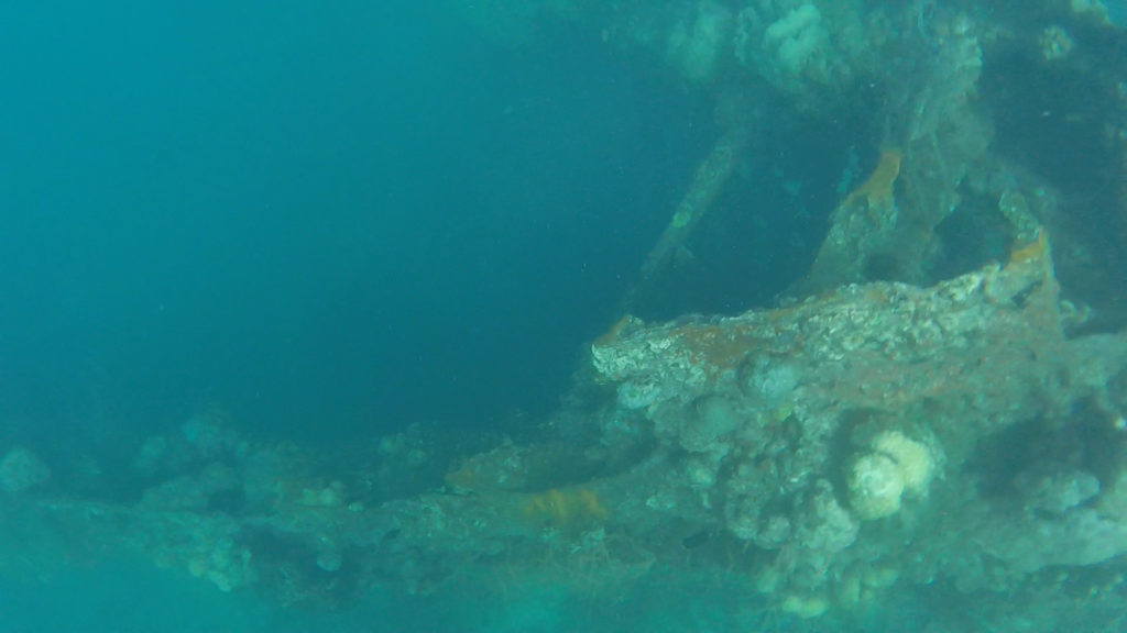Skeleton Shipwreck Coron Ultimate Tour, Philippines snorkeling
