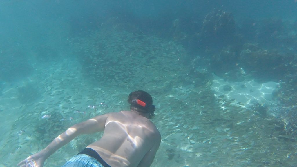 Messing with a school of fish while snorkeling on the Coron Ultimate Tour, Philippines