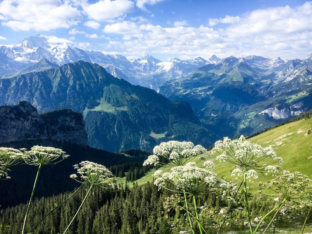 Hiking in the Alps in Switzerland