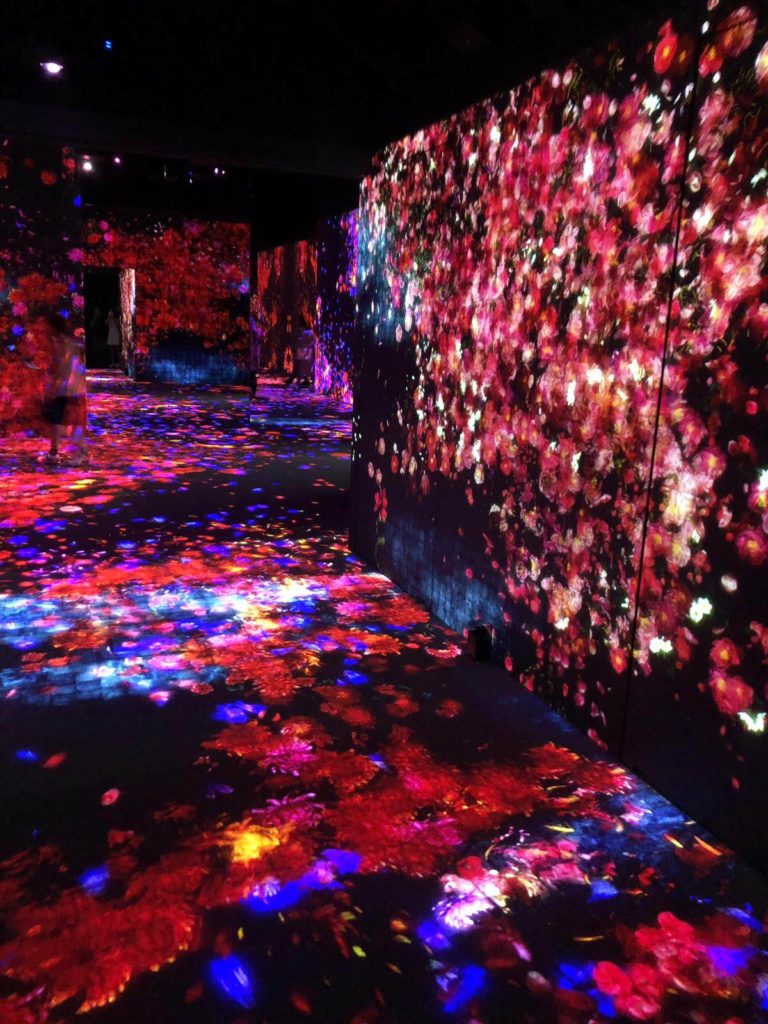 skrot strubehoved prop Experiencing Digital Art at Teamlab Borderless Museum, Odaiba, Tokyo -  Erika's Travelventures