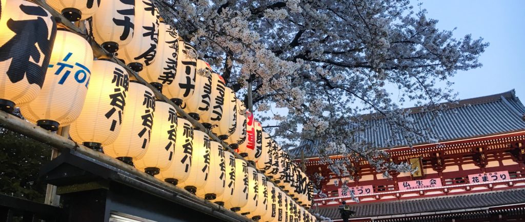 Tokyo ryokan with private onsen, Tokyo hotels with private onsen. Where to find private onsen in Tokyo. Asakusa Japan cherry blossoms, lanterns, and temple