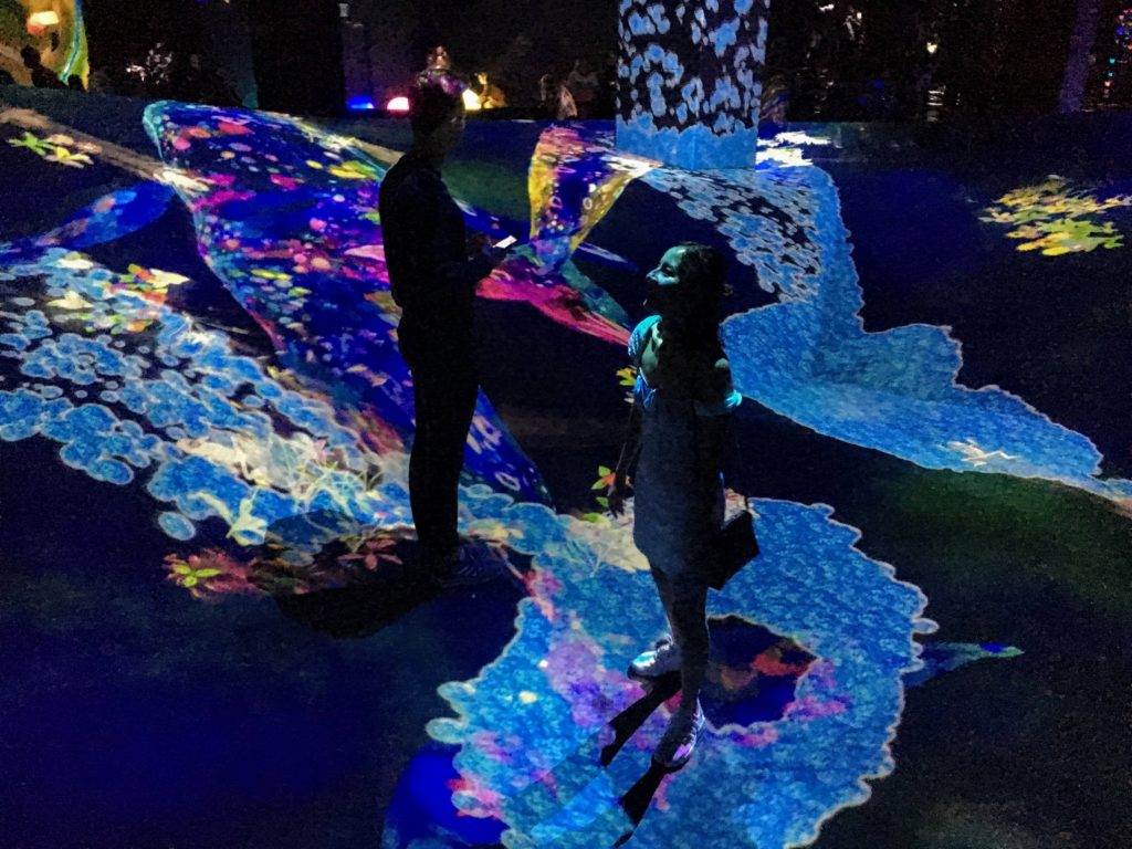 Experience Digital Art at Teamlab Borderless Museum in Odaiba, Tokyo Japan, tips on visiting