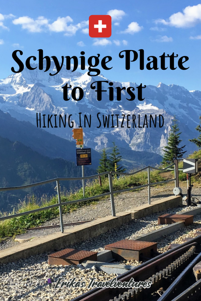 Schynige Platte to First hike in Grindelwald, Interlaken Switzerland. Trek in the Jungfrau region of the Alps from Interlaken, Wilderswil, Schynige Platte, Faulhorn, Bachalpsee, First, and Grindelwald in Switzerland