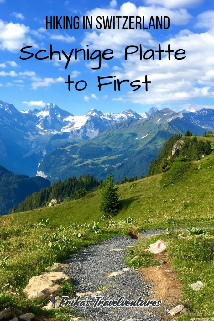 Schynige Platte to First hike in Grindelwald, Interlaken Switzerland. Trek in the Jungfrau region of the Alps from Interlaken, Wilderswil, Schynige Platte, Faulhorn, Bachalpsee, First, and Grindelwald in Switzerland