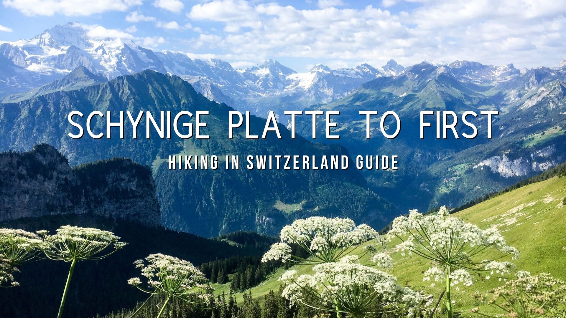 Schynige Platte to First, Grindelwald Hike in Switzerland