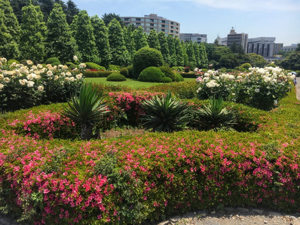 Visiting Shinjuku Gyoen Tokyo Japan, Shinjuku Gyoen Imperial Garden and Park