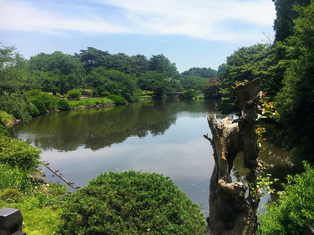 Visiting Shinjuku Gyoen Tokyo Japan, Shinjuku Gyoen Imperial Garden and Park