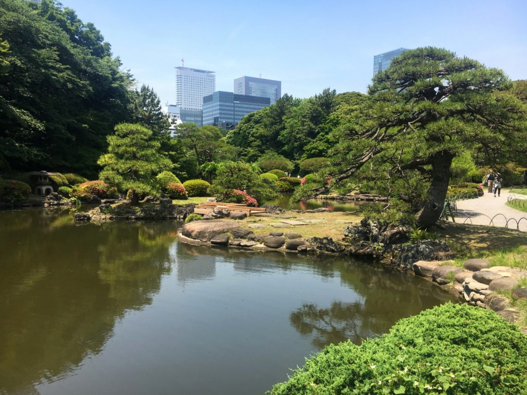 Visiting Shinjuku Gyoen Tokyo Japan, Shinjuku Gyoen Imperial Garden and Park
