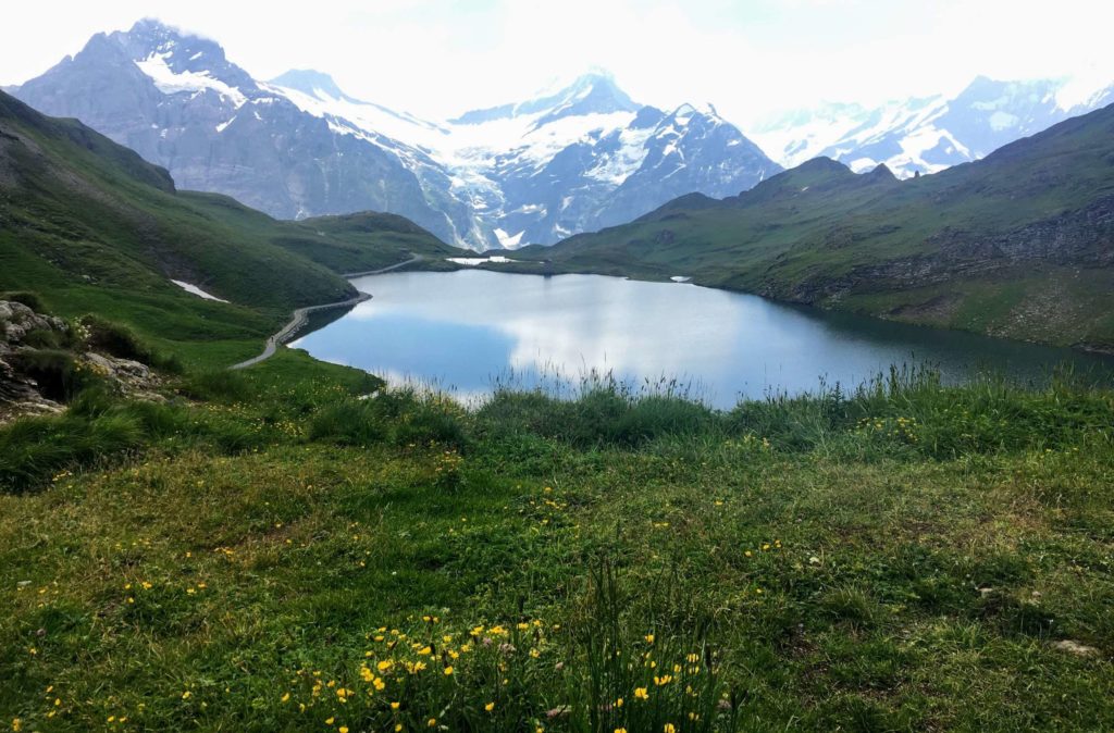 Schynige Platte to First hike in Grindelwald, Interlaken Switzerland. Trek in the Jungfrau region of the Alps from Interlaken, Wilderswil, Schynige Platte, Faulhorn, Bachalpsee, First, and Grindelwald in Switzerland