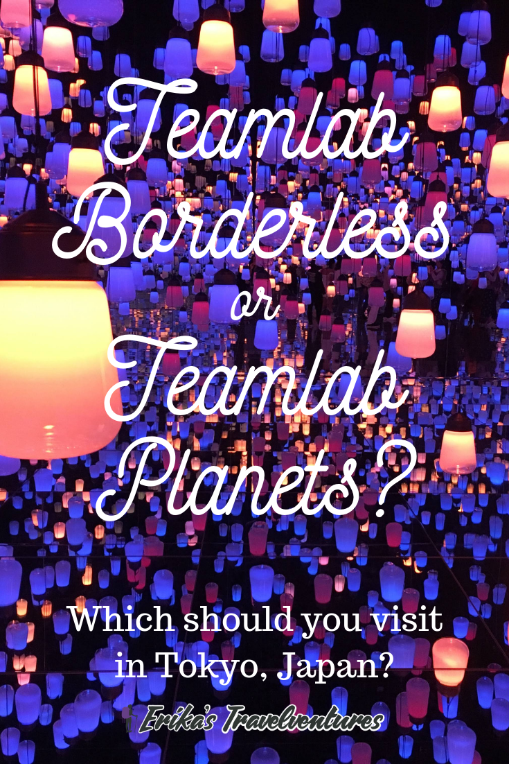 Teamlab Borderless vs Teamlab Which Is Better? Erika