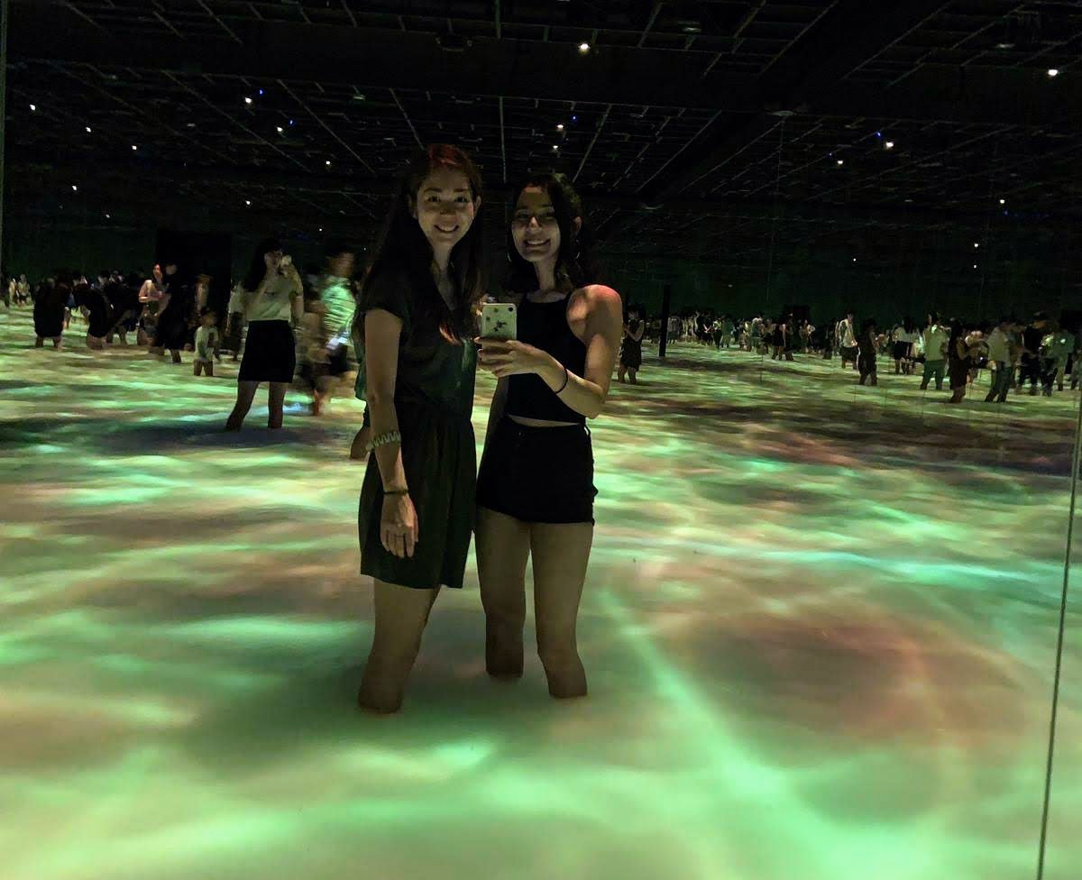 TeamLab Borderless vs. Immersive Art and Interactive Technology Wavecrea