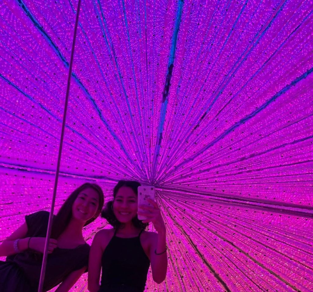 Teamlab Borderless or Teamlab planets which one to go to? Which MORI Digital Art Museum, Teamlab Planets or Teamlab Borderless should you visit?