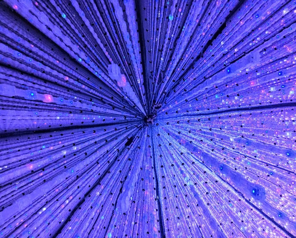 Teamlab Borderless or Teamlab planets which one to go to? Which MORI Digital Art Museum, Teamlab Planets or Teamlab Borderless should you visit?