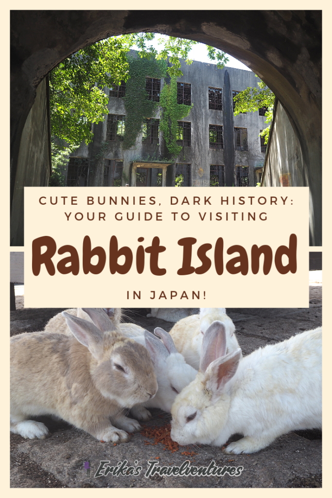 Okunoshima rabbits, Rabbit Island. How to visit Rabbit Island, things to know before visiting Rabbit Island and Rabbit island hotel. Feeding rabbits, poison Gas museum on Okunoshima rabbit island, Japan from Hiroshima Pinterest