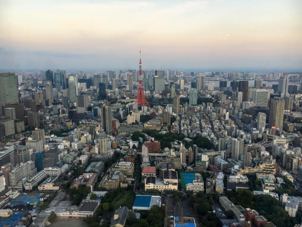 Rainy things to do in Tokyo Top things to do in Tokyo viewpoint asakusa ginza akihabara shibuya shinjuku best things to do in tokyo for all budgets, meiji jingu and yoyogi park, skytree, studio ghibli museum, watch sumo