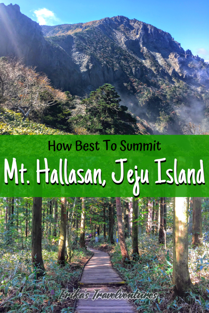 hiking hallasan on jeju island in south Korea. Map and how to get there, which is the best trail for hiking Hallasan Gwanemusa Trail Seongpanak Trail pinterest