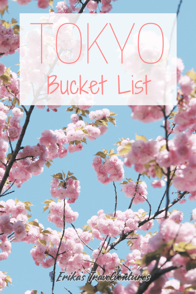 Tokyo bucket list, Top things to do in Tokyo viewpoint asakusa ginza akihabara shibuya shinjuku best things to do in tokyo for all budgets, meiji jingu and yoyogi park, skytree, studio ghibli museum, watch sumo cover