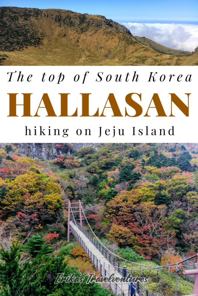 hiking hallasan on jeju island in south Korea. Map and how to get there, which is the best trail for hiking Hallasan Gwanemusa Trail Seongpanak Trail pinterest