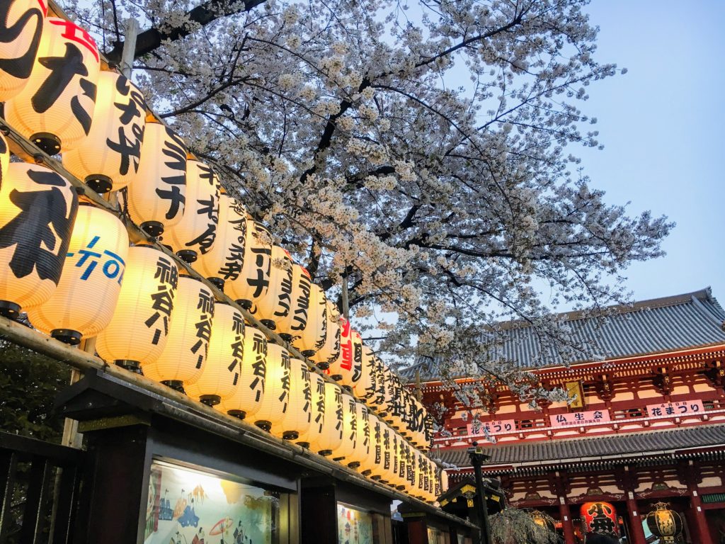Three days in Tokyo itinerary Asakusa Shoenji Temple and Nakamise street, three day Tokyo itnerary, cherry blossoms
