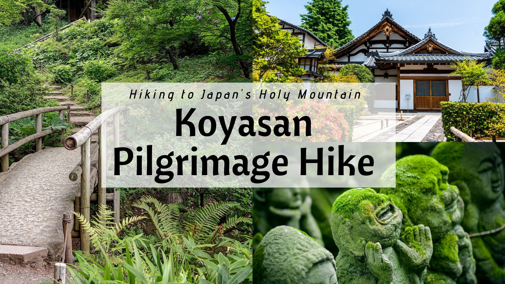 Hiking Koyasan pilgrimage hike in Japan, Mt. Koya hike pilgrimage from Osaka, holy mountain hike cover