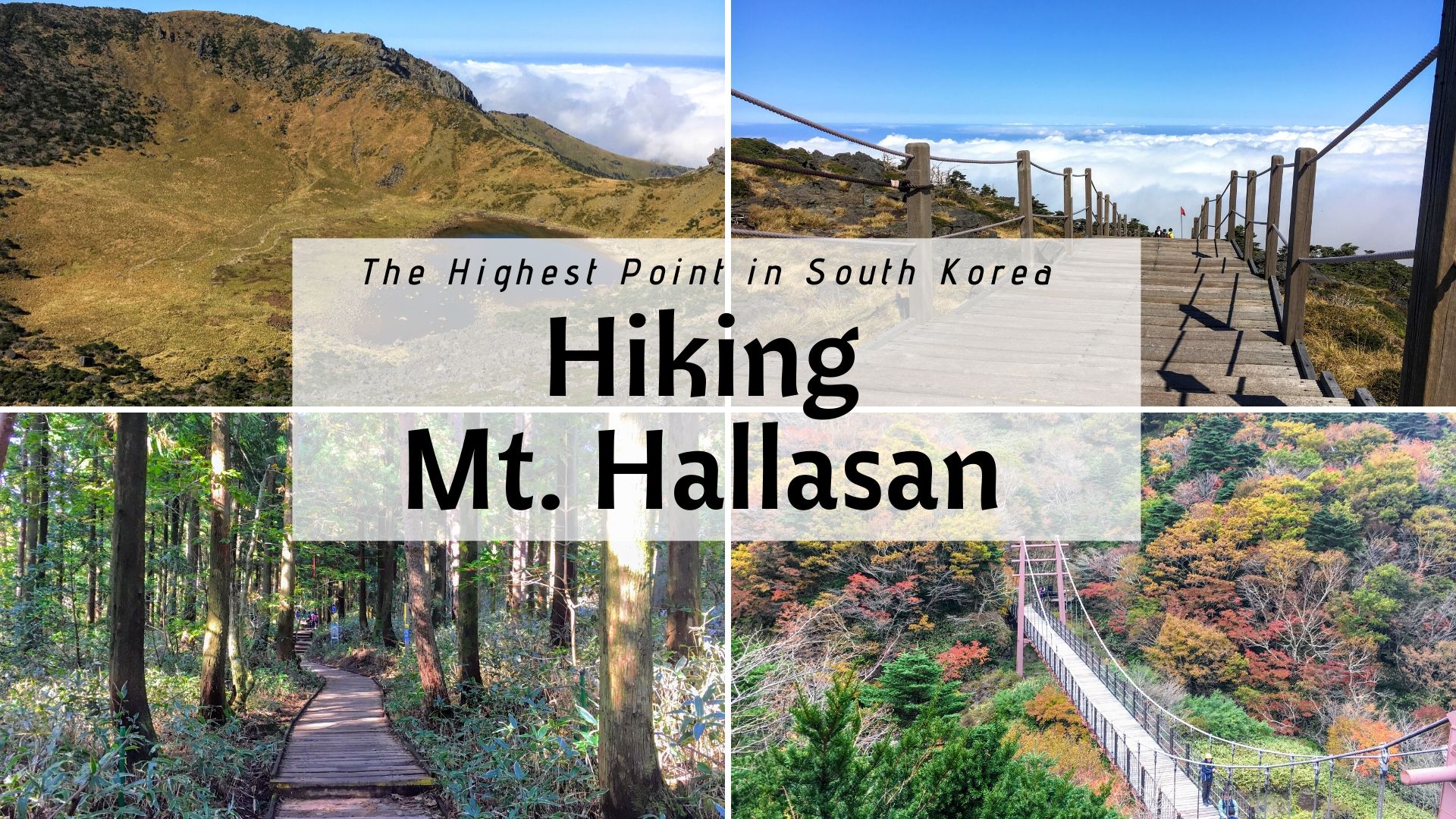 hiking hallasan on jeju island in south Korea. Map and how to get there, which is the best trail for hiking Hallasan Gwanemusa Trail Seongpanak Trail cover