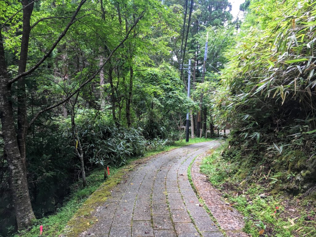 Hiking Koyasan pilgrimage hike in Japan, Mt. Koya hike pilgrimage from Osaka, holy mountain hike