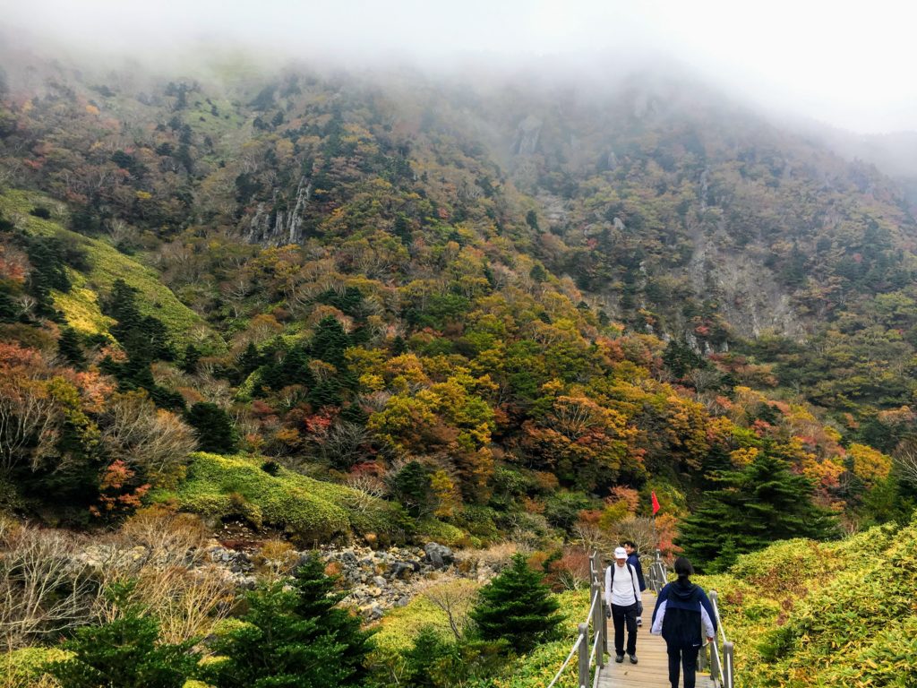 hiking hallasan on jeju island in south Korea. Map and how to get there, which is the best trail for hiking Hallasan Gwanemusa Trail Seongpanak Trail summit