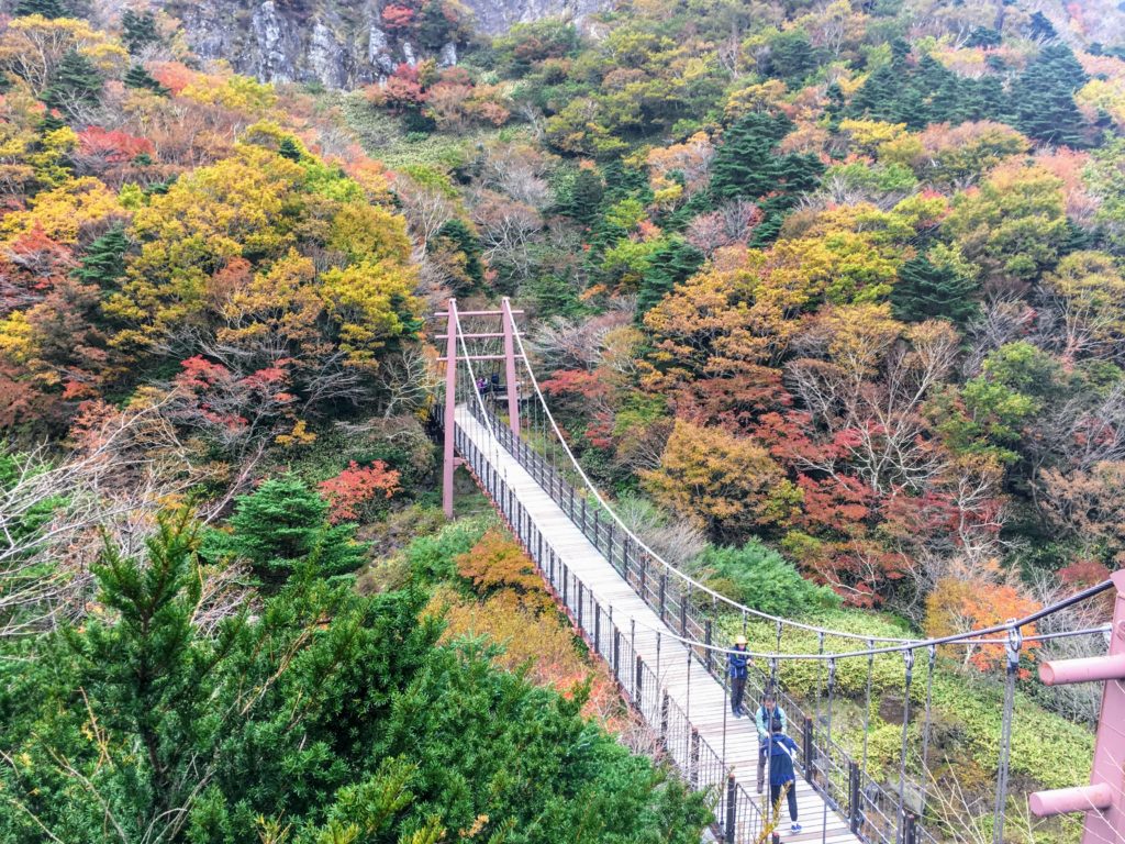 hiking hallasan on jeju island in south Korea. Map and how to get there, which is the best trail for hiking Hallasan Gwanemusa Trail Seongpanak Trail summit