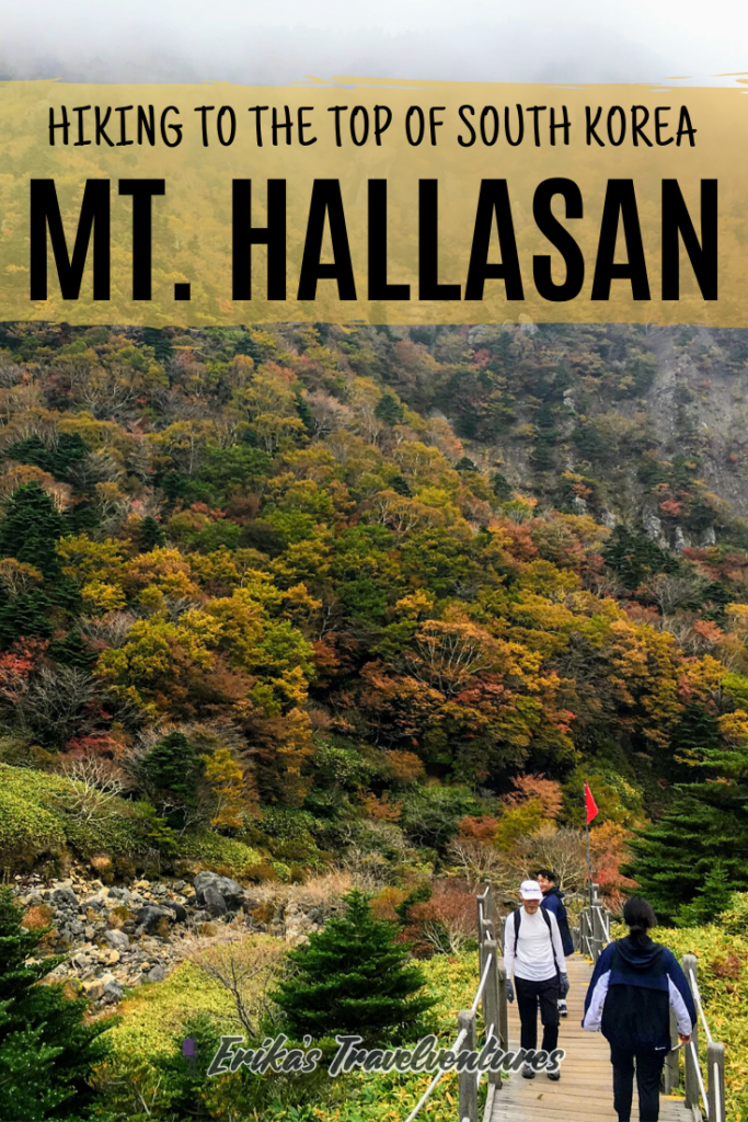 hiking hallasan on jeju island in south Korea. Map and how to get there, which is the best trail for hiking Hallasan Gwanemusa Trail Seongpanak Trail pinterest