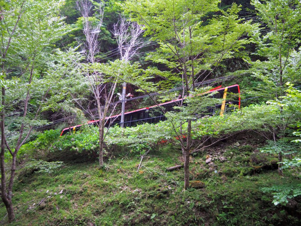 Hiking Koyasan pilgrimage hike in Japan, Mt. Koya hike pilgrimage from Osaka, holy mountain hike