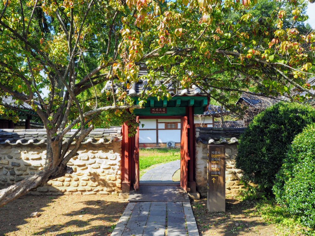 Jeonju one day itinerary, how to spend one day in jeonju: eating bibimbap, exploring the old hanok village, walking along the river, visiting the market and mural village, catholic church and portrait museum