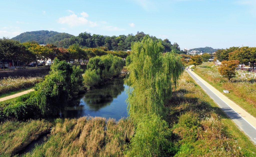 Jeonju South Korea Jeonju Hanok Village Things to do in Jeonju why everyone should visit Jeonju Korea. Eat Bibimbap, wander the Hanok Village, go to the viewpoint, free museums, mural village, confucian school, rent a hanbok