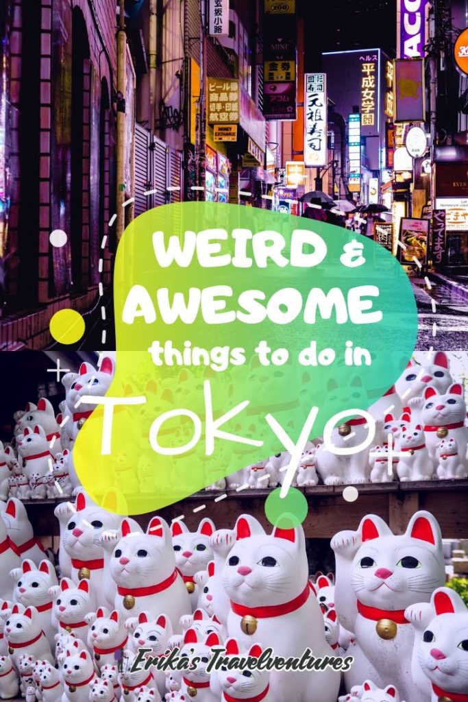 weird things to do in tokyo, unique things to do in tokyo, character street, gotokuji cat temple, mario kart, real like mario kart in tokyo, monster cafe, robot restaurant, sailor moon restaurant, ninja experience, weird tokyo experiences pinterest