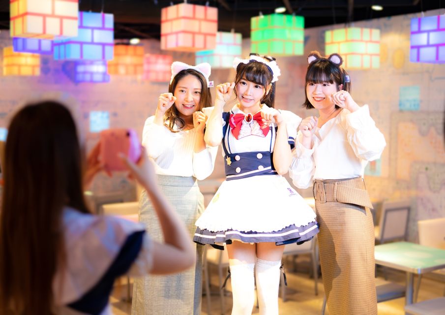 Maid cafe, Cute and kawaii things to do in Tokyo, cute Tokyo, Cute things to do in Tokyo, Cute things to do in Japan, kawaii Tokyo, Kawaii Tokyo activities, Kawaii things to do in Tokyo, cute souvenirs Tokyo