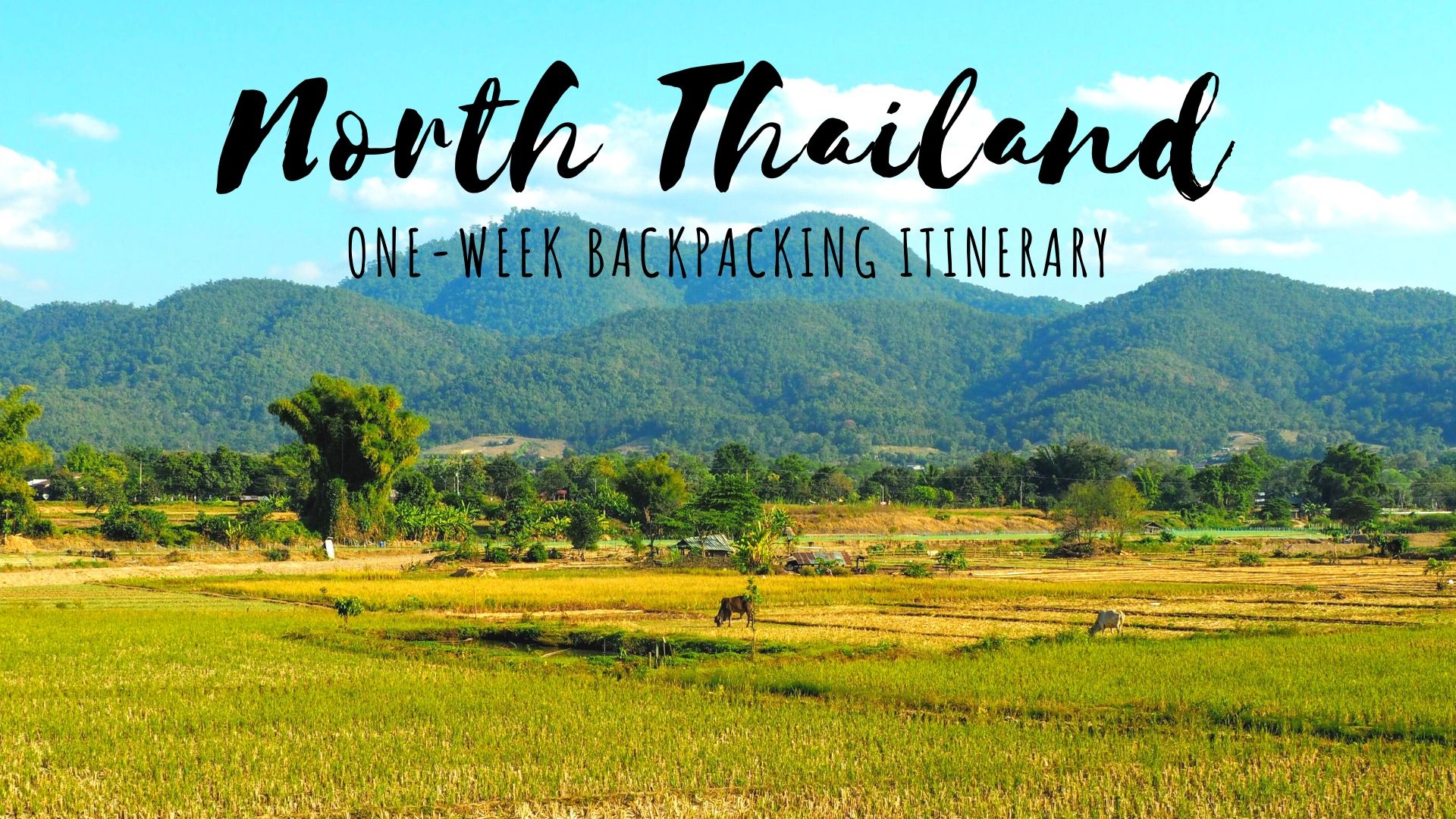 One Week in Northern Thailand Itinerary, seven days in North thailand backpacker's itinerary, Chiang Mai things to do, Chiang Rai, Pai Thai countryside cover