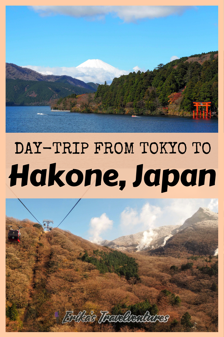 hakone day trip from tokyo itinerary