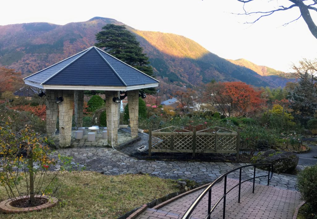 tokyo to hakone day trip itinerary