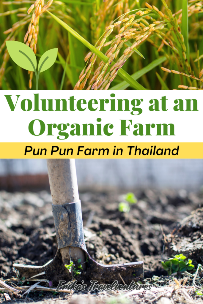 Pun Pun organic farm in Chiang Mai Thailand sign post. Thai characters green farming, sustainable living practices. Pun Pun center for self reliance volunteering experience. Organic farm shop