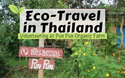 Volunteering at Pun Pun Organic Farm in Thailand