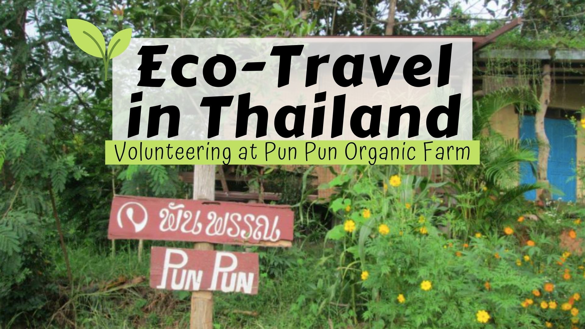 Pun Pun organic farm in Chiang Mai Thailand sign post. Thai characters green farming, sustainable living practices. Pun Pun center for self reliance volunteering experience. Organic farm shop