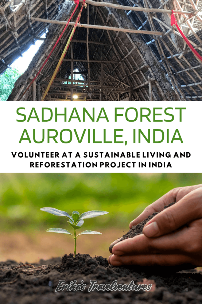 Sadhana Forest India, Sadhana forest auroville friday eco-friendly, sustainable living, eco-travel, sadhana movie night, vegan eating
