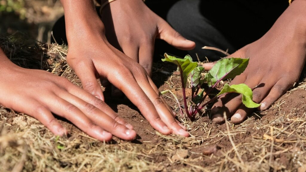 Navadarshanam Tamil Nadu, Permaculture course in india, Permaculture design course Navadarshanam, eco-travel from Bangalore, Bangalore stay-cation, sustainable agriculture food