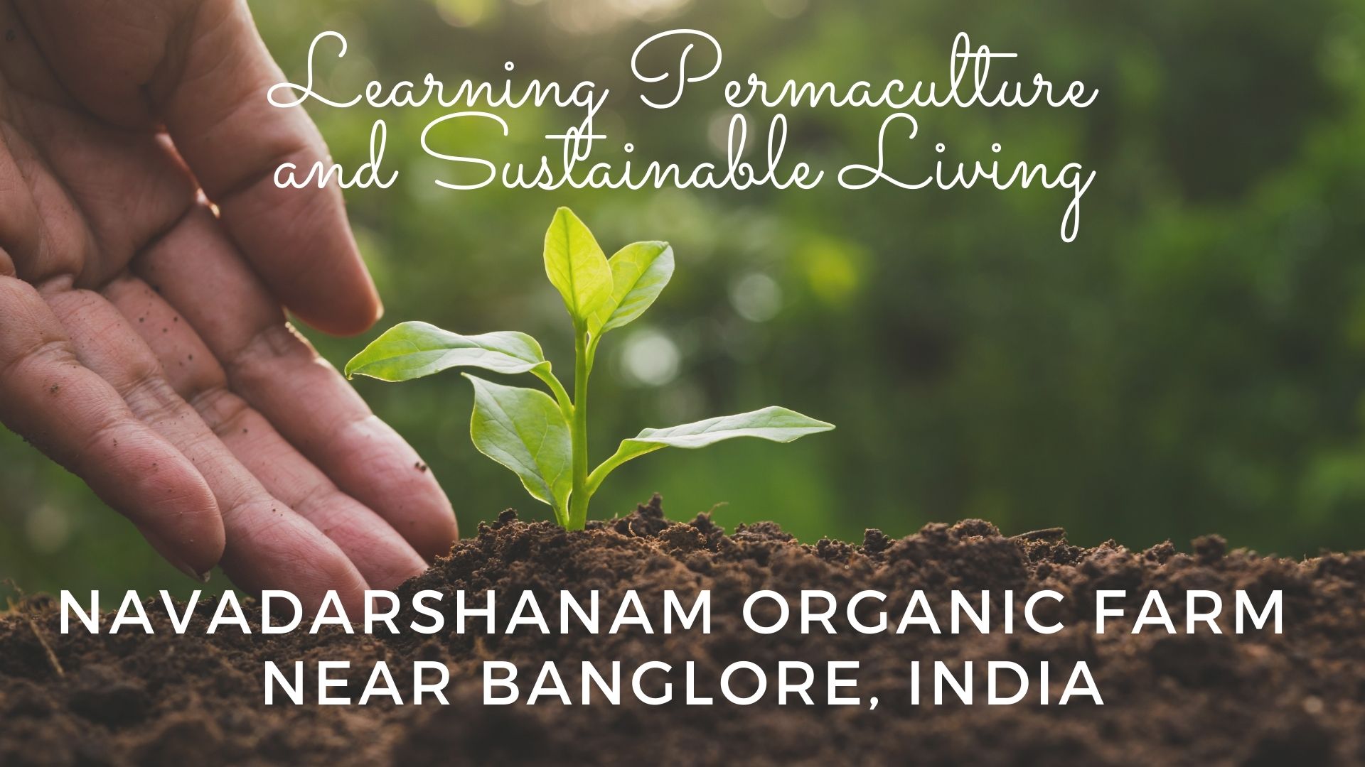 Navadarshanam Tamil Nadu, Permaculture course in india, Permaculture design course Navadarshanam, eco-travel from Bangalore, Bangalore stay-cation, sustainable agriculture food