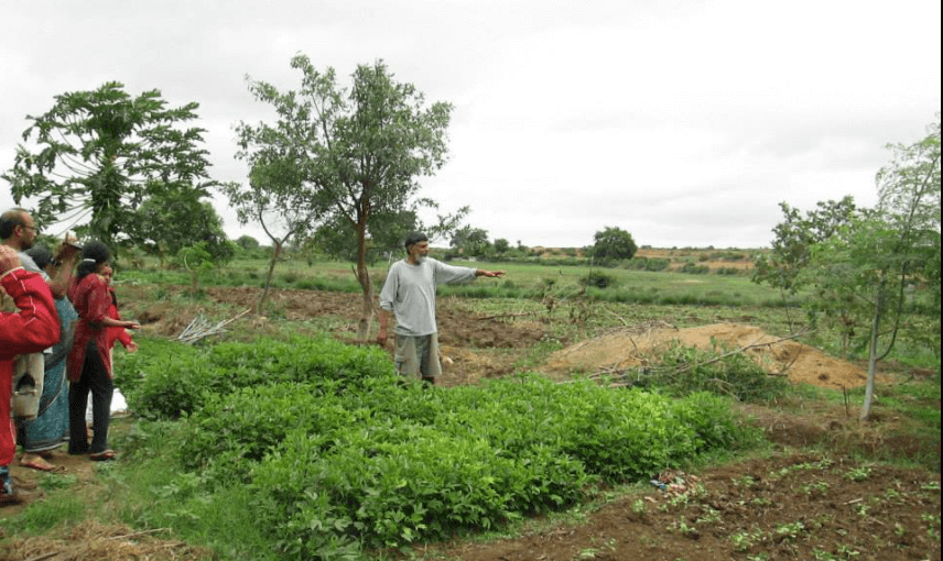 Navadarshanam Tamil Nadu, Permaculture course in india, Permaculture design course Navadarshanam, eco-travel from Bangalore, Bangalore stay-cation, sustainable agriculture food