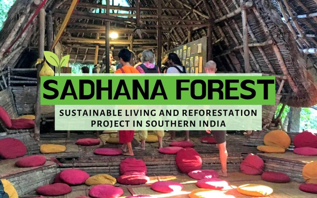 Sadhana Forest India, Sadhana forest auroville friday eco-friendly, sustainable living, eco-travel, sadhana movie night, vegan eating, Sadhana Forest Auroville Tamil Nadu