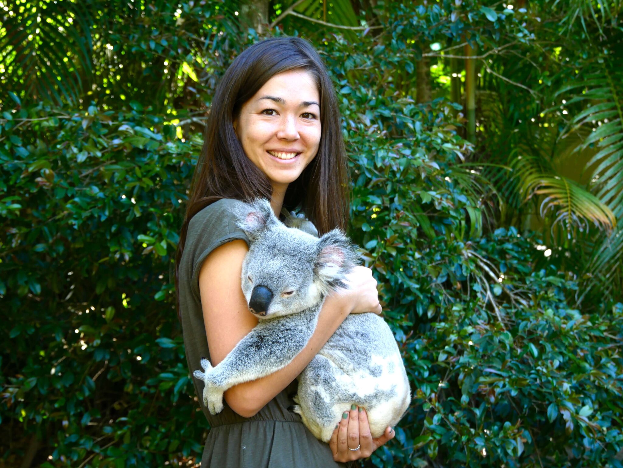 12 Tips for Visiting Lone Pine Koala Sanctuary Erika's Travelventures